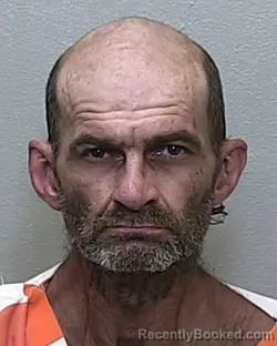 Mugshot of LUKE HARICE WILSON booked in Marion County, Florida on March 17, 2026