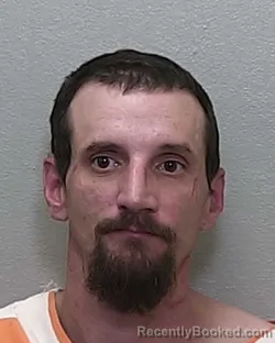 Mugshot of SEAN BOSKIND