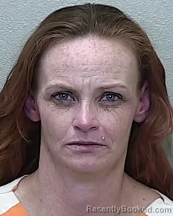 Mugshot of TASHA ANN WHEELER