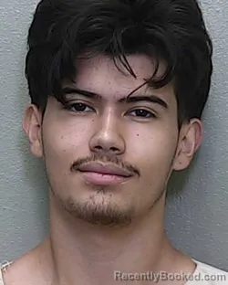 Mugshot of GABRIEL NICOLAS PACHECO