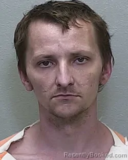 Mugshot of BRANDON MICHAEL DONALDSON