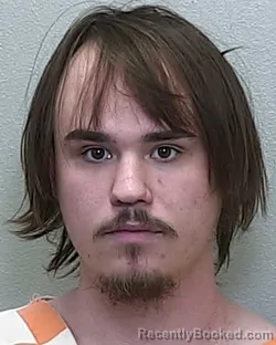 Mugshot of STEVEN MICHAEL BOWRON JR