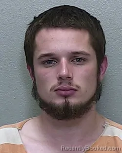 Mugshot of DAYTON ANDREW HENDERSON