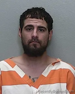 Mugshot of JONATHAN MICHAEL VITALE