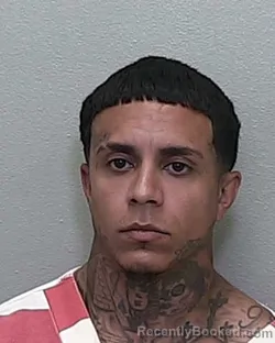 Mugshot of LUIS FRANCISCO AVILES