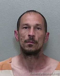 Mugshot of SHAUN ALLEN WEGIENKA