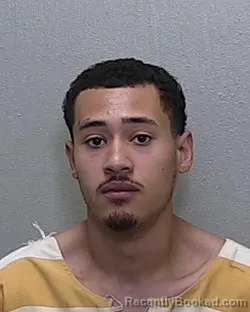 Mugshot of TYRAIN KHAN LEE ROGERS