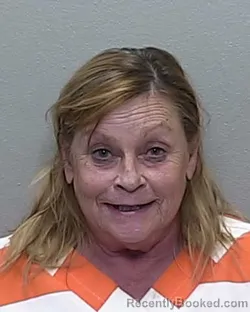 Mugshot of JANET GAYLE PERRY