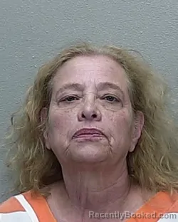 Mugshot of LYNN MORI LANGER