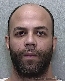 Mugshot of ISKAEL FELIZ