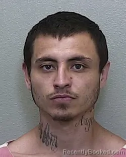 Mugshot of GABRIEL LYNN FARQUER