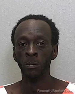 Mugshot of DEMETRIUS SEANDALL COLLINS