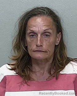 Mugshot of JENNIFER MICHELLE GILL