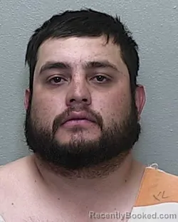 Mugshot of LUIS GRAJEDA NEVAREZ