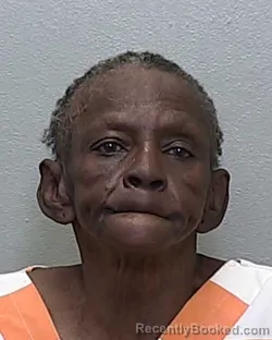 Mugshot of CYNTHIA DIANE PERRY