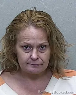 Mugshot of AMANDA LORRAINE LEA