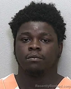 Mugshot of JACCARION KANEI ALIZE GRAY