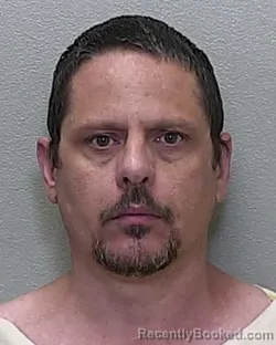 Mugshot of JAMES MICHAEL HARRIS