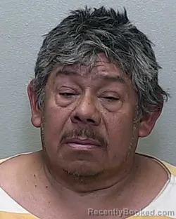 Mugshot of SANTANA N SALAZAR NUNEZ