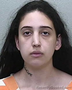 Mugshot of AYSE LOUISE DEMIRKIRAN