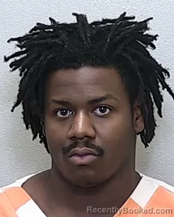 Mugshot of TYREON LEARTIS HILBERT