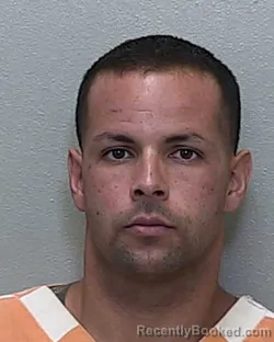 Mugshot of CHRISTIAN J VILLALBA-SANTOS