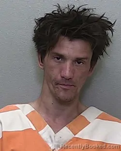 Mugshot of DAVID ALLEN TINNIN JR