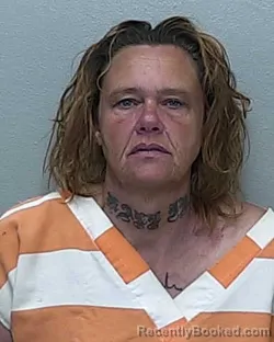 Mugshot of BRENDA ELAINE CREWS