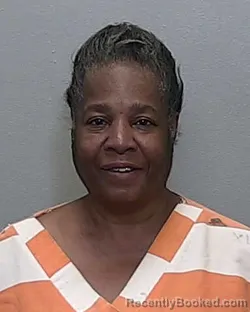 Mugshot of SILVIA D HUTCHINSON