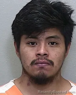 Mugshot of ALBERTO GOMEZ