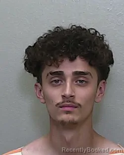 Mugshot of DAMION ESPERANZA REDDICK