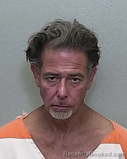 Mugshot of MICHAEL L LISI