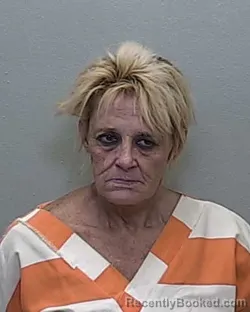 Mugshot of DAPHNNE LEE DAVIS