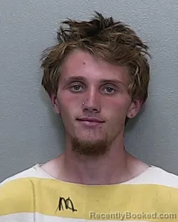 Mugshot of BRYCE NICHOLAS THOMPSON