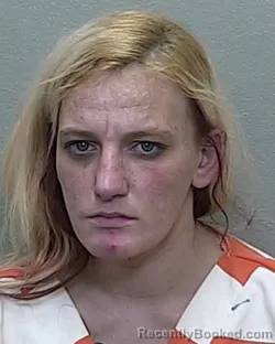 Mugshot of CYNTHIA ST.CLAIR SNYDER
