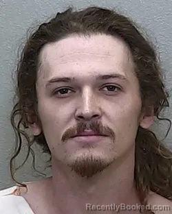 Mugshot of BRYAN A WILSON