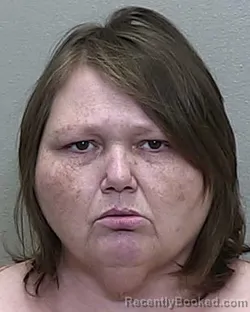 Mugshot of NANCY ANN HERNANDEZ