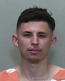 Mugshot of FERNANDO JOSE MERCADO PORTILLO