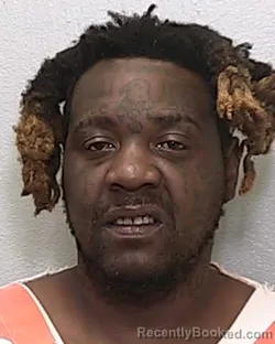 Mugshot of ROBERT LEE GAINES