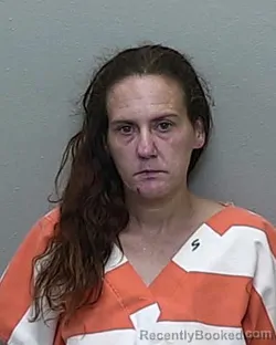 Mugshot of TERRI RENEE ADINOLFI