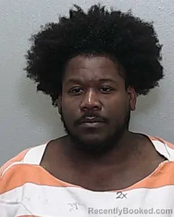 Mugshot of HASSAN SHAMARL YOUNG