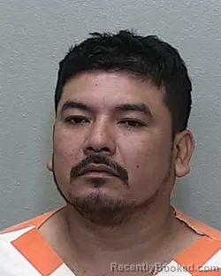 Mugshot of LUIS MARTINEZ MARTINEZ
