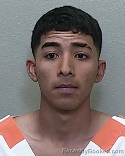 Mugshot of DANIEL ALEXANDER HERNANDEZ PADRINO