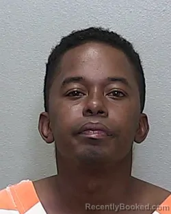 Mugshot of MATTHEW JUSTIN POWELL