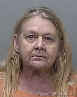 Mugshot of ANN MARIE MILLS
