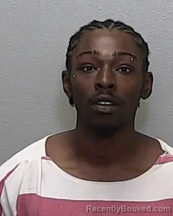 Mugshot of TAJAI RENE LOUIS