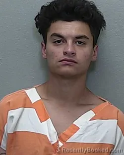 Mugshot of CHARLES EDWARD MUSANTE