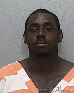 Mugshot of RENOIR A POWELL