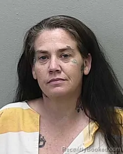 Mugshot of MISTY RENA MILLER