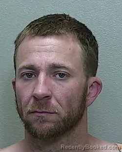 Mugshot of JOSHUA ADRIAN BLEVINS